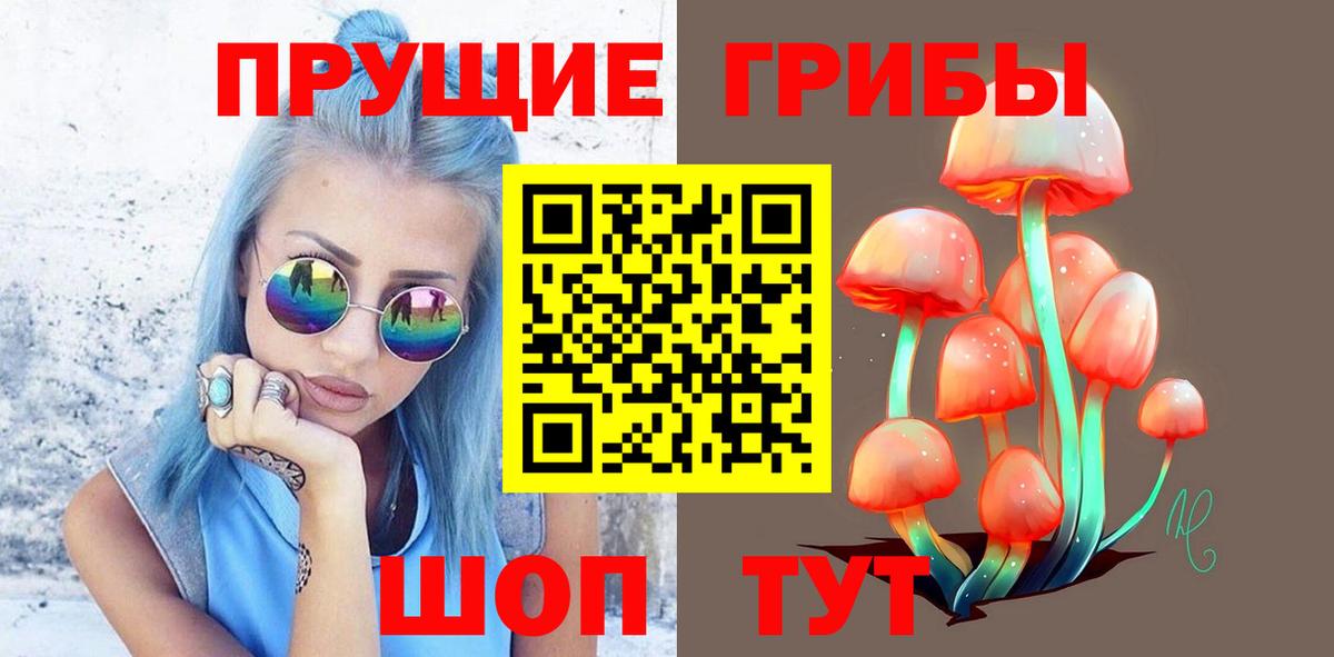 Кушва  Псилоцибиновые грибы Psilocybine cubensis  Вход с VPN 