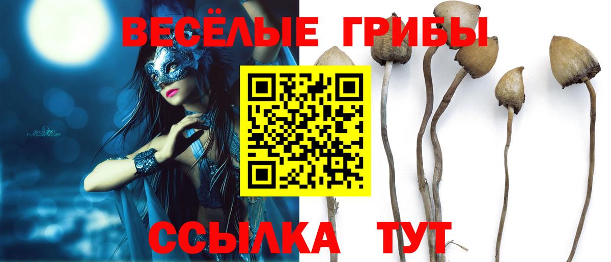 Псилоцибиновые грибы Magic Shrooms Кушва